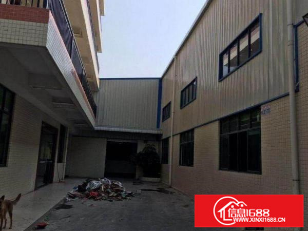 新出九成新钢结构独院2500平厂房可分租宿舍600平