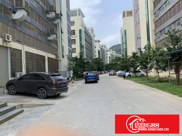 惠阳工业园新出带装修12楼1500可分层租