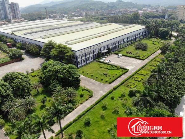 石排安博标准物流仓储厂房出租