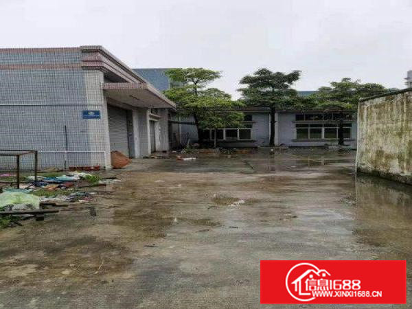 石排独门独院原房东厂房1000平方火爆抢租