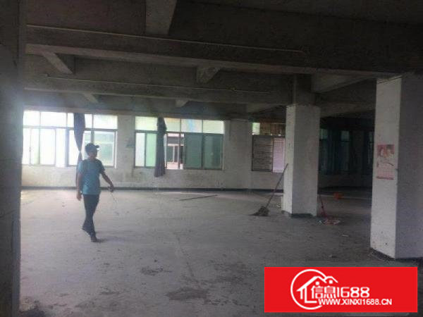 松岗大田洋400平厂房出租，公摊小，采光好，实图