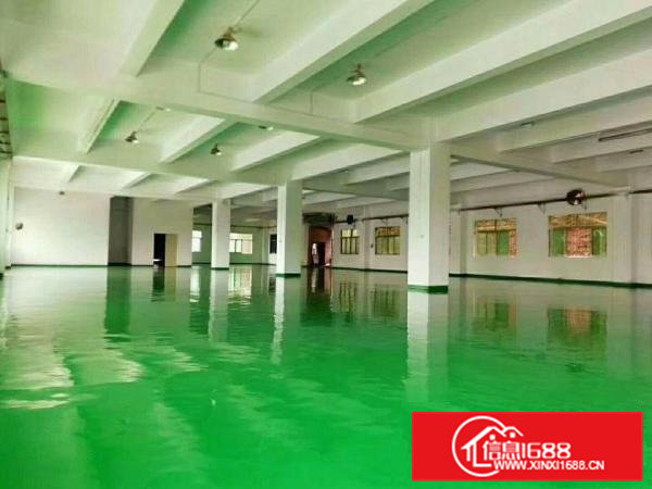 桥头东莞市桥头镇价格美丽独门独院厂房