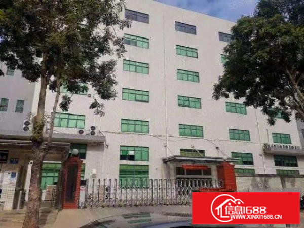 东莞大朗独门独院厂房12000平方招租