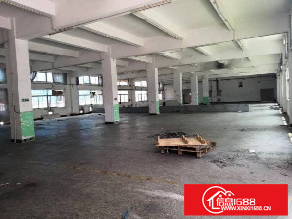 新出工业区九成新厂房一楼1800平方米招租