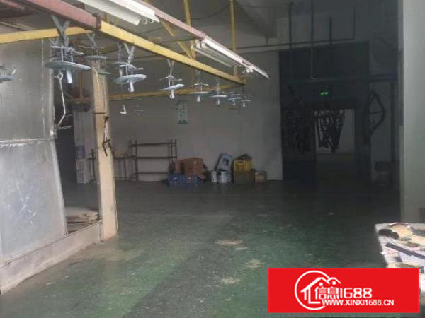 清溪原房东独院厂房出租6000平方可以分租500起可以做喷漆