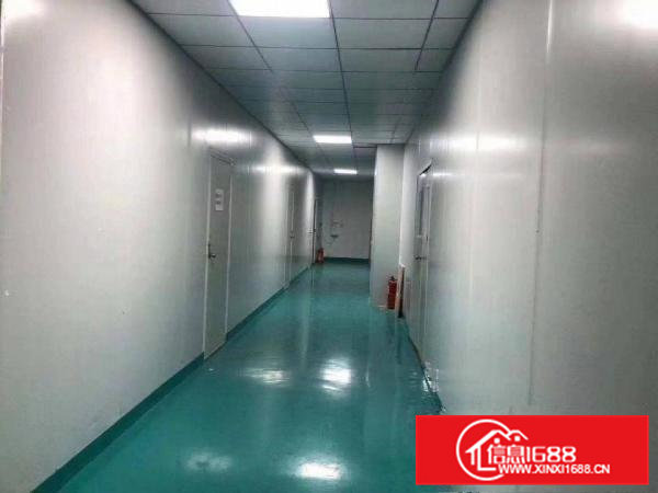 清溪高速路口原房东百级无尘车间2600平米出租500平起分租