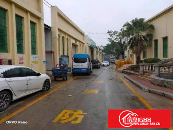 坑梓中心独栋钢构厂房1150平米出租