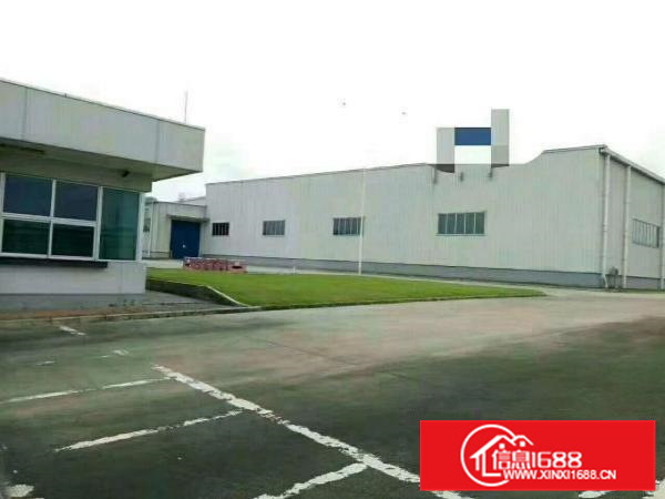 惠州市新圩全新物流仓储产业园可整租分租空地大