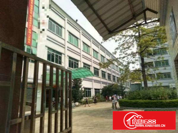 凤岗东深公路旁独门独院8800平米厂房全面分租