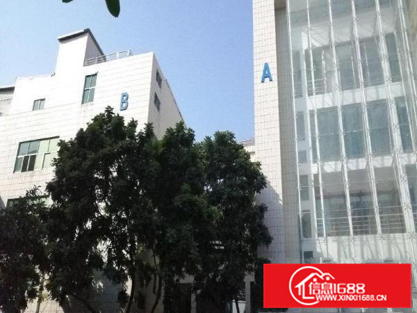 高速路口近华为独院出租