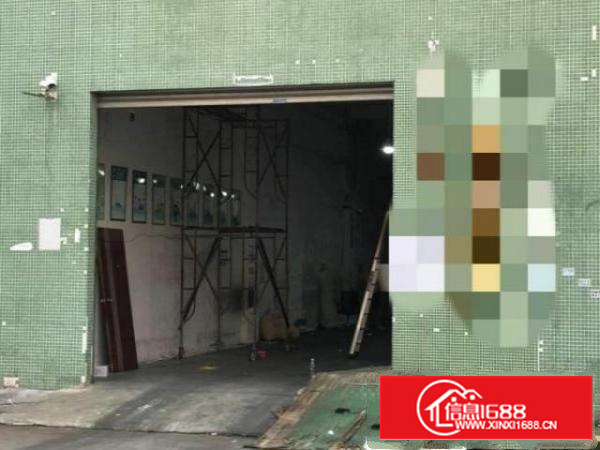 万江新出1200平米标准一楼