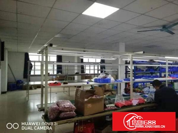 桥头镇分租原房东独院标准厂房二楼1100平方出，租价格便宜