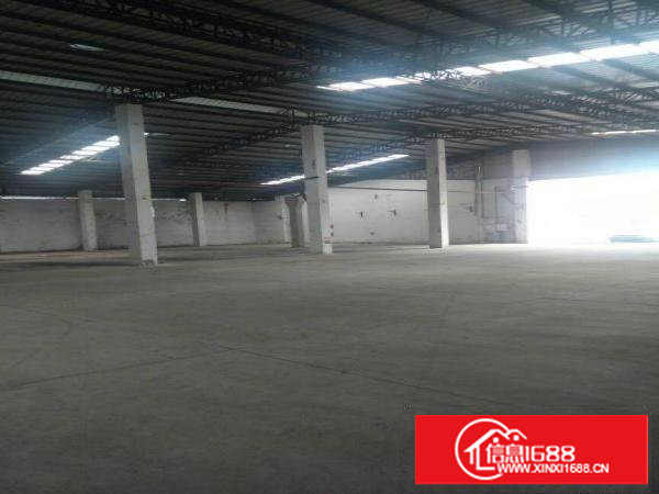 滴水8米单一层独栋厂房出租