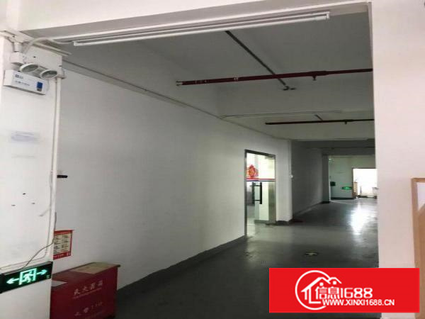 分租盐田沙头角服装厂房