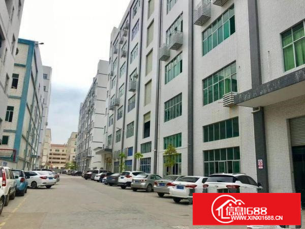 金凤凰新出楼上一整层厂房1600平方水电齐全，豪华装修办公室