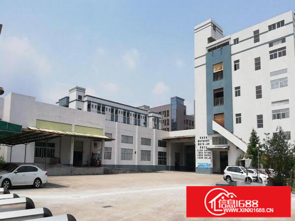 新茶山原房东花园标准厂房出租独立办公楼一楼7米高500无居民