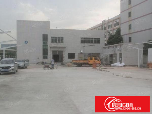 白泥坑海吉星独院厂房一楼现成冷库冻库2500平米出租可分租