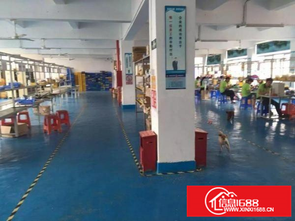 龙岗经典绿化园林独院6500平米形象超好可分租