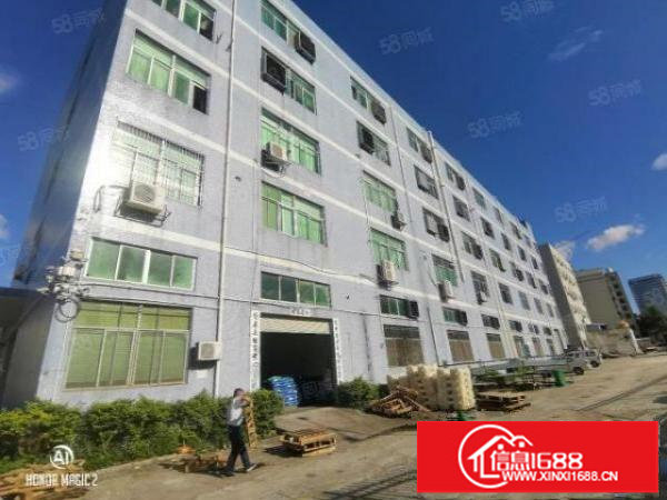 独门独院！龙华大型园区12500平厂房出租