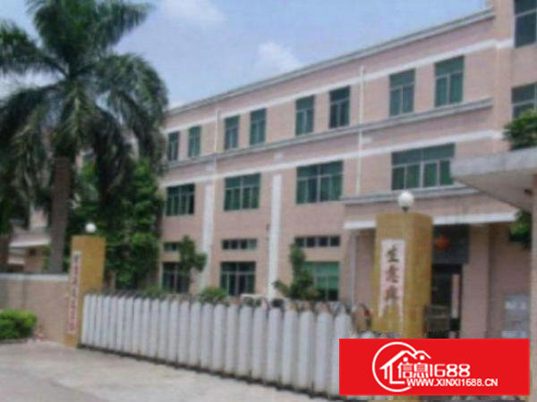 高埗上江城工业区分租标准一楼1000平出租