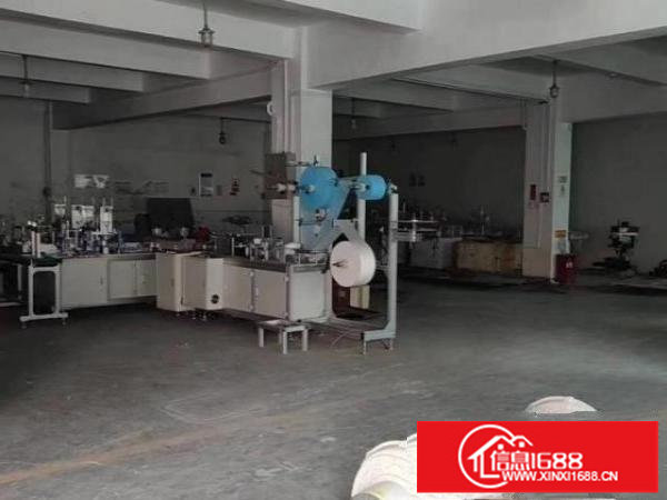 龙岗南联原房东独门独院共5000平实际面积出租