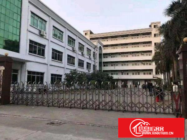 标准厂房一楼600平米招租