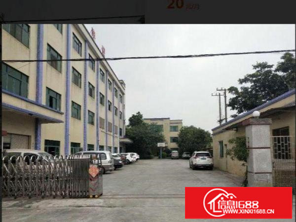 坪山曾屋标准厂房800平出租，原房东厂房适合各种行业