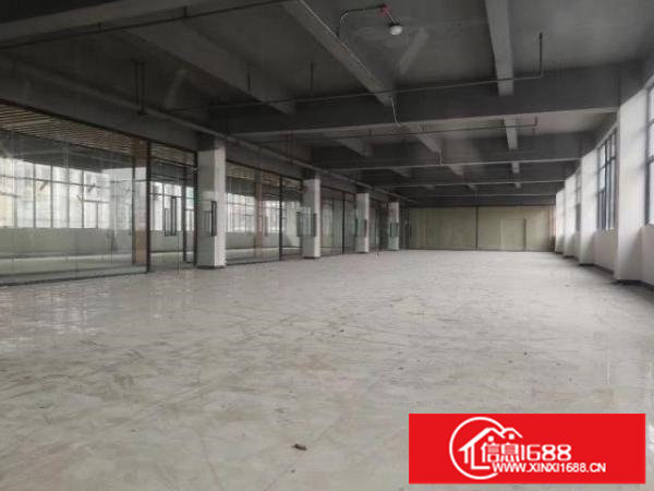 龙岗办公厂房出租218平，大小可以按照需求分隔