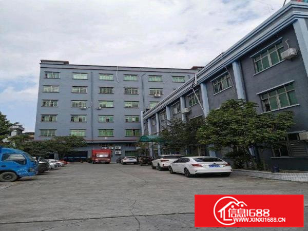 大朗镇原房东5楼1280方现成办公室装修