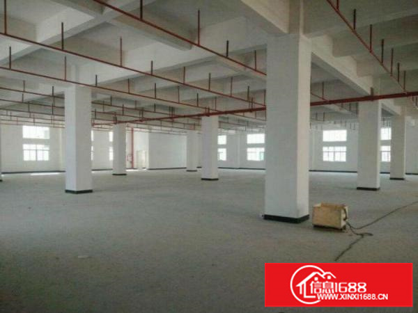 出租龙岗区南联一楼新厂房900平米