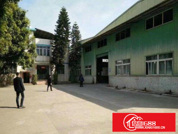 桥头禾坑新出独门独院厂房带隔热滴水7米1200厂房