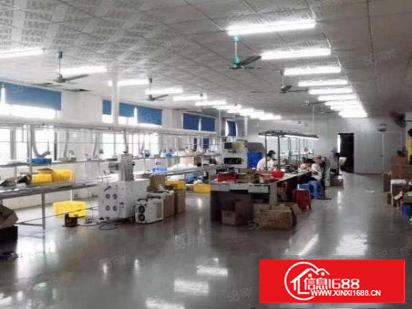 塘厦石鼓原房东出租560平楼上现成办公室全新地坪漆