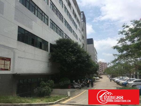 松岗燕川楼上1250平精装修前台办公室水电齐全价格低至19