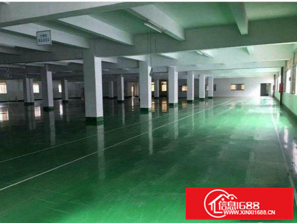 出租坪山新区三洋湖标准楼上厂房1100平方米