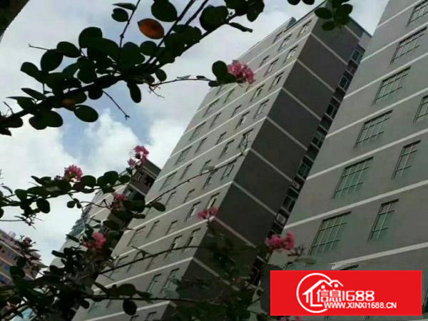 6.5米，仲恺潼湖有牛腿一楼980平米