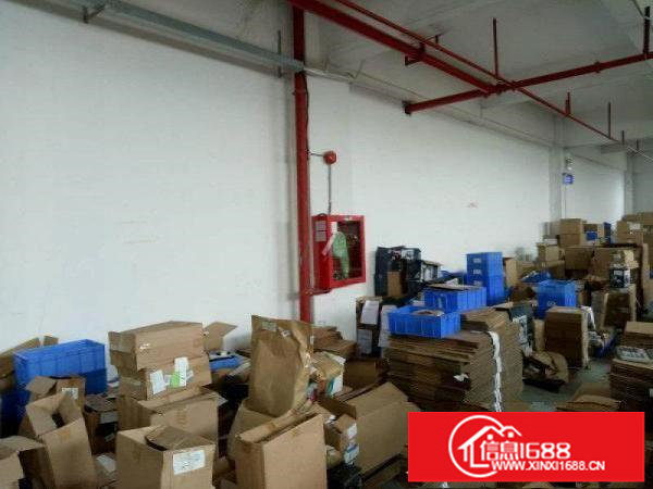 松岗大田洋690平厂房火热出租，精装修，交通便利