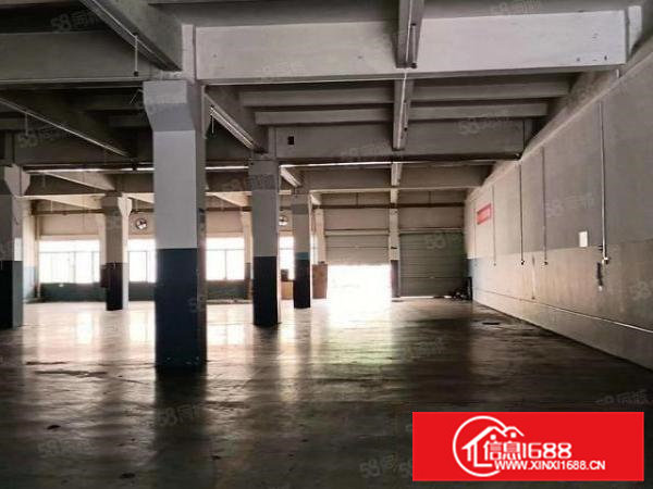 靓盘标准一楼厂房2300带精装修空地大楼层高度6米