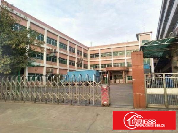 石碣桔州独院厂房7500方（可分租空地大好办环评）