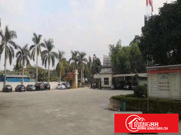 原房东标准独门独院厂房招租