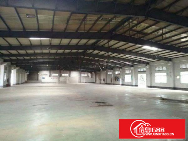 惠阳新墟1600平原房东独院钢构高8米空地大