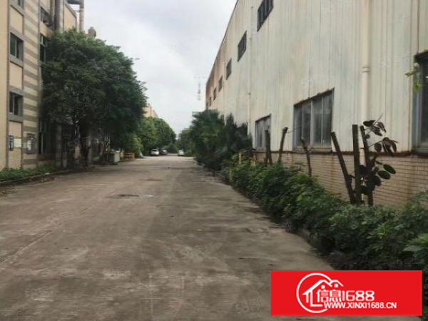 官窑新出原房东红本厂房