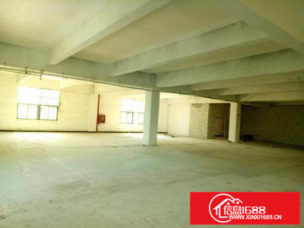 松岗大田洋1760平单层大厂房出租，可分割，实图