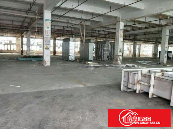 龙岗坪地新出4000平独院厂房