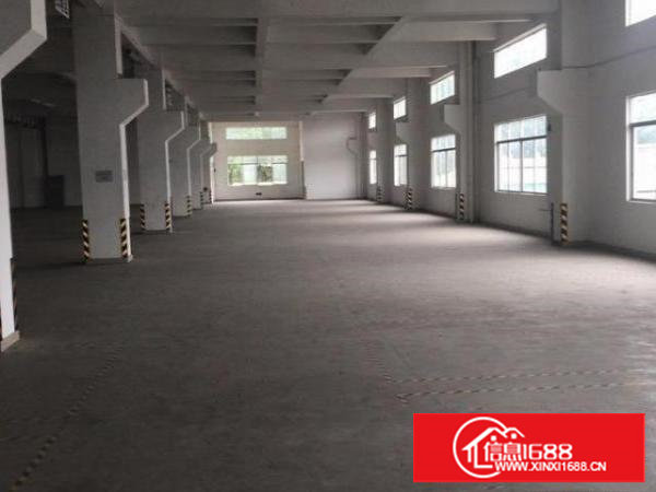 谢岗金海标准一楼厂房700平米