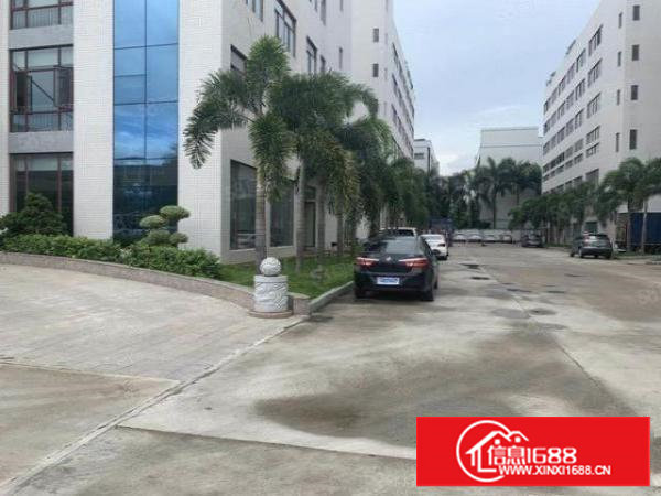 塘厦原房东,村委厂房出租,租金10元起,面积500起分组!