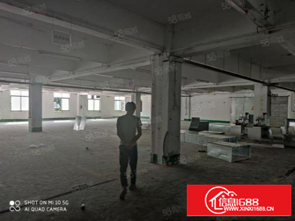 石碣新出原房东独门独院厂房二楼带新办公室可空地大大车可掉头