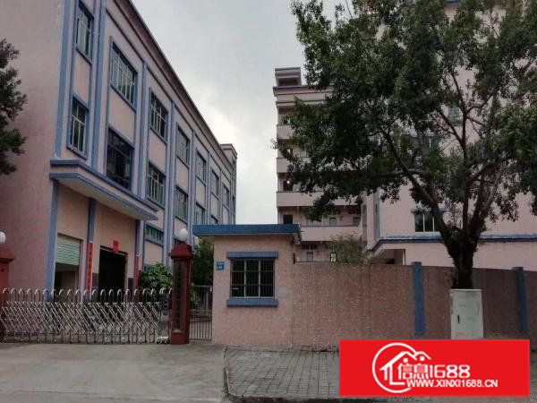 卢边独院分租二三楼每层1500平方