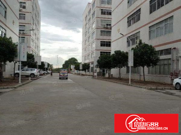 凤岗镇竹塘全新工业园厂房出租1500平方，可过环评