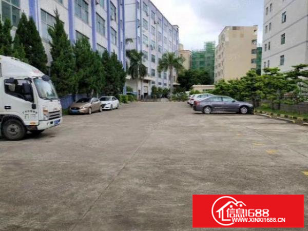 阳台山地铁旁原房东新出650平1300平带装修厂房招租