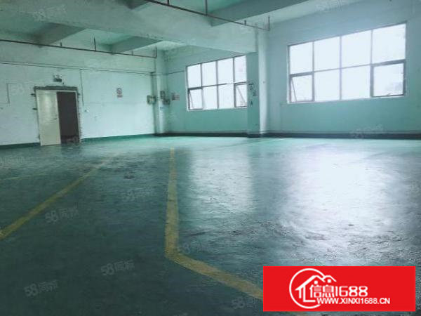 房东厂房出租580平简单装修有电梯无中介